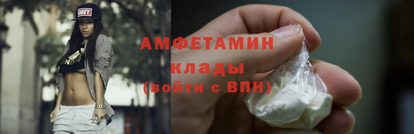 крисы Бронницы