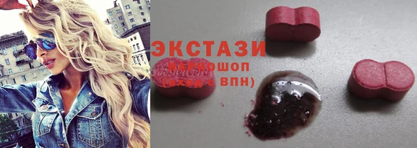гидра Богданович